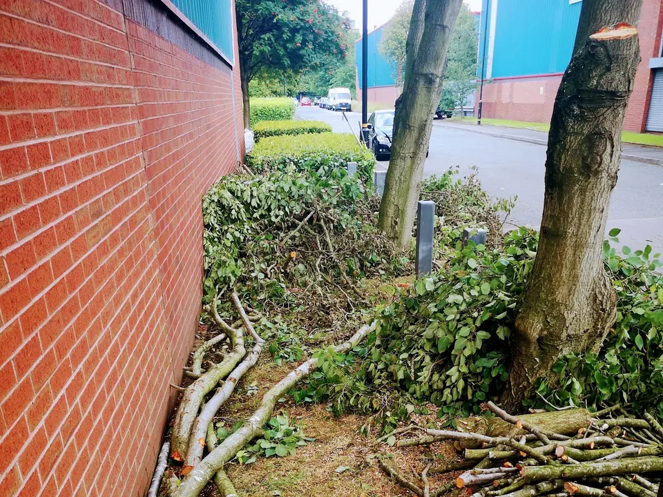 Cut logs and branches stacked and ready to clear after a job