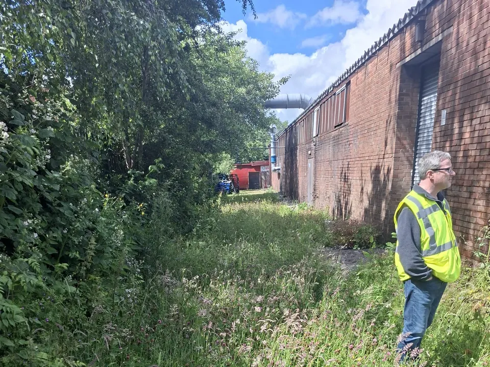 An overgrown strip of ground being cleared back